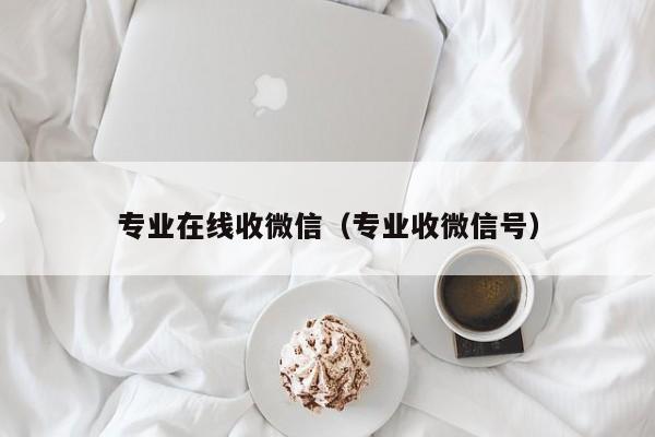 专业在线收微信（专业收微信号）